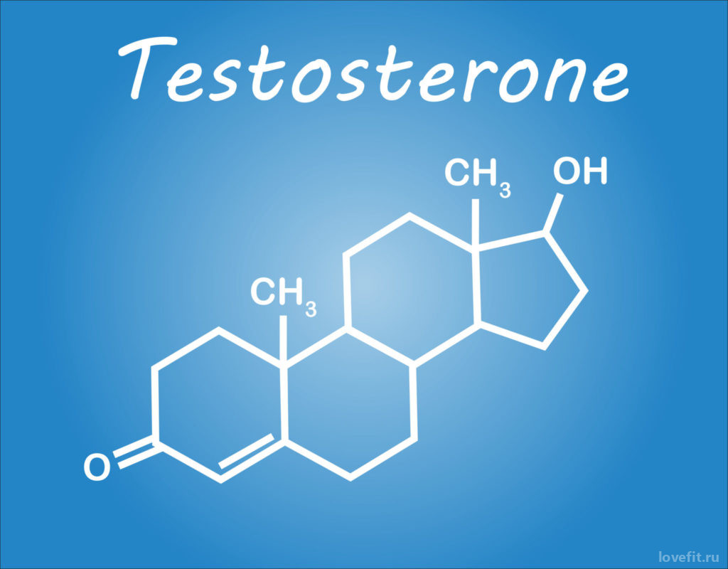 На что влияет тестостерон у мужчин в спорте. Смотреть фото На что влияет тестостерон у мужчин в спорте. Смотреть картинку На что влияет тестостерон у мужчин в спорте. Картинка про На что влияет тестостерон у мужчин в спорте. Фото На что влияет тестостерон у мужчин в спорте