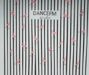танцевальная студия dancefmstudio.ru изображение 8 на проекте lovefit.ru
