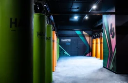 студия фитбоксинга hawaii fitboxing в большом овчинниковском переулке  на проекте lovefit.ru