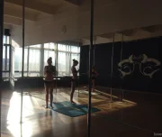 студия танцев, йоги и фитнеса shark pole studio изображение 5 на проекте lovefit.ru