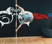 студия танцев, йоги и фитнеса shark pole studio изображение 1 на проекте lovefit.ru