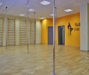 школа танцев feelings pole studio изображение 3 на проекте lovefit.ru