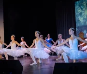 балетная студия classique изображение 2 на проекте lovefit.ru