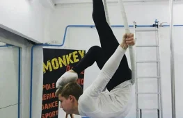 танцевальнo–акробатическая студия monkey dance  на проекте lovefit.ru