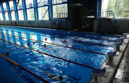дворец водного спорта дельфин  на проекте lovefit.ru