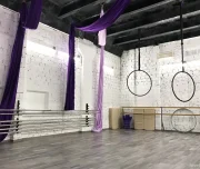 студия танцев и воздушной гимнастики you can dance studio изображение 6 на проекте lovefit.ru