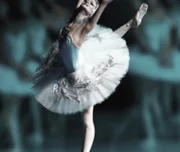 школа-студия балета и хореографии balleta в борисовском проезде изображение 5 на проекте lovefit.ru