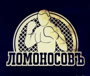 спортивный клуб ломоносовъ изображение 4 на проекте lovefit.ru