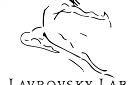 творческое объединение lavrovsky lab  на проекте lovefit.ru