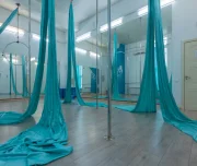 студия воздушной акробатики pole dance club изображение 5 на проекте lovefit.ru