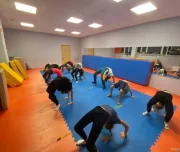школа акробатики и художественной гимнастики acro-mix на воронежской улице изображение 5 на проекте lovefit.ru