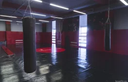 спортивный клуб боевых искусств сибирский барс на кленовом бульваре изображение 2 на проекте lovefit.ru