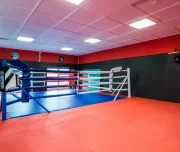 спортивный клуб surkov's boxing изображение 2 на проекте lovefit.ru
