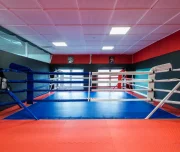 спортивный клуб surkov's boxing изображение 12 на проекте lovefit.ru