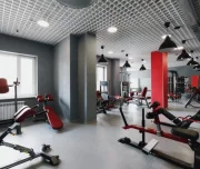 arnold gym изображение 1 на проекте lovefit.ru