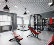arnold gym изображение 5 на проекте lovefit.ru