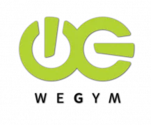 Фитнес-клуб WeGym на Давыдковской улице логотип