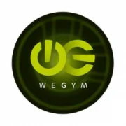 Фитнес-клуб WeGym на 2-й улице Синичкина логотип