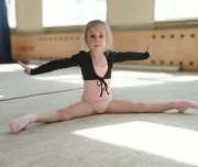 спортивный клуб художественной гимнастики феникс изображение 3 на проекте lovefit.ru