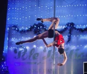 школа танцев pole positions изображение 3 на проекте lovefit.ru