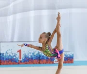секция художественной гимнастики вдохновение изображение 2 на проекте lovefit.ru