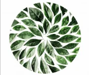 органический салон красоты листок на улице серафимовича изображение 2 на проекте lovefit.ru