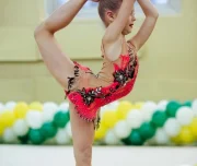 школа художественной гимнастики и хореографии diva изображение 8 на проекте lovefit.ru