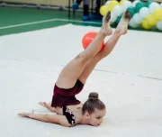 школа художественной гимнастики и хореографии diva изображение 1 на проекте lovefit.ru
