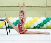 школа художественной гимнастики и хореографии diva изображение 4 на проекте lovefit.ru