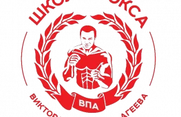 Школа бокса им В.П. Агеева логотип