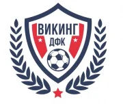 детский футбольный клуб викинг изображение 3 на проекте lovefit.ru